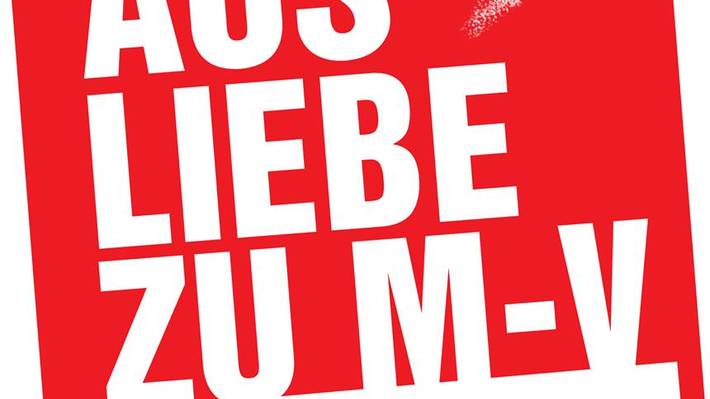 Linke Schliesst Kandidatenaufstellung Ab Engagiert Fur Soziale